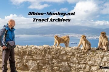 albino-monkey.net travel archives