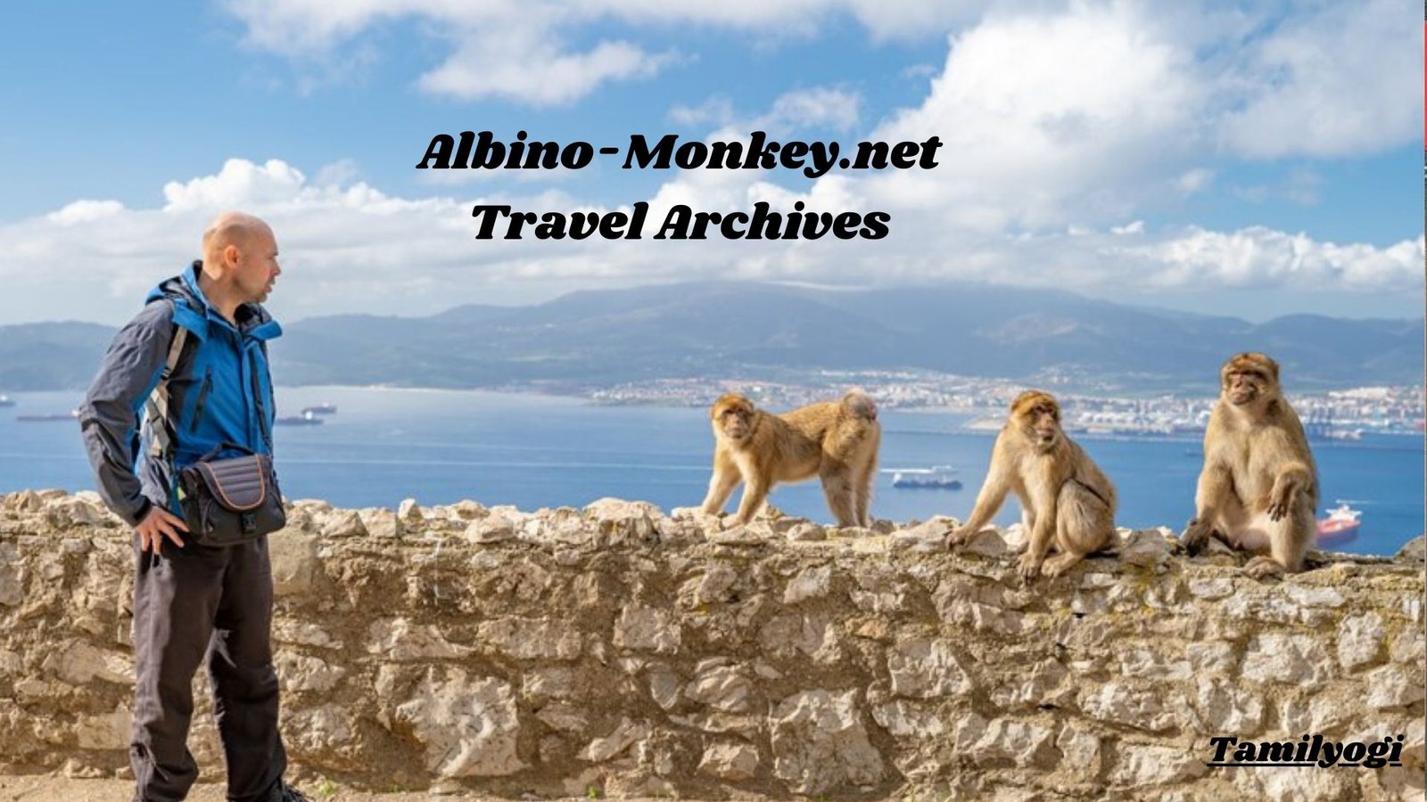 albino-monkey.net travel archives